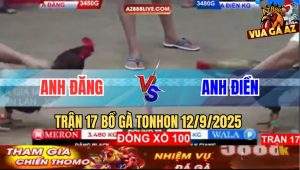 Trận 17 Bồ Tonhon 12/9/2025