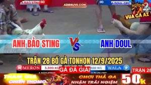 Trận 28 Bồ Tonhon 12/9/2025