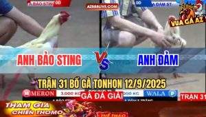 Trận 31 Bồ Tonhon 12/9/2025