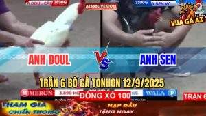 Trận 6 Bồ Tonhon 12/9/2025