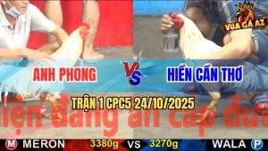 Trận 1 CPC5 24/10/2025 - Anh Phong Cần Thơ Và Anh Hiền Cần Thơ