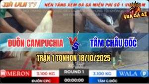 Trận 1 TonHon 18/10/2025 - Bướm Anh Đuôn Đá Liên Hoàn Điều Nằm Đống