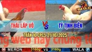 Trận 10 CPC5 21/10/2025 - Anh Thái Lấp Vò Và Anh Tý Tịnh Biên