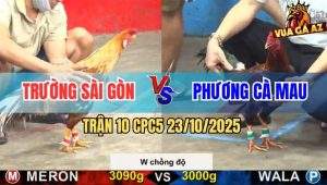 Trận 10 CPC5 23/10/2025 - Điều Cọp Anh Phương Đá Bát 1 Lên 2 Nhẹ Nhàng