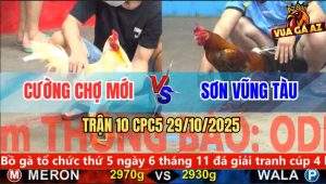 Trận 10 CPC5 29/10/2025 - Anh Cường Chợ Mới Và Anh Sơn Vũng Tàu