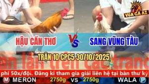 Trận 10 CPC5 30/10/2025 - Anh Hậu Cần Thơ Và Anh Sang Vũng Tàu