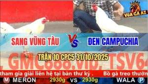 Trận 10 CPC5 31/10/2025 - Anh Sang Vũng Tàu Và Anh Đen Campuchia