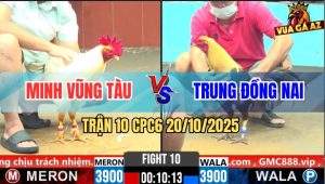 Trận 10 CPC6 20/10/2025 - Khét Sữa Đá Tới Đấu Úa Ói Tiền Tới Đó
