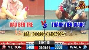 Trận 10 CPC6 31/10/2025 - Xanh Chặn Chân Bướm Anh Gấu Gãy Giờ Hết Về
