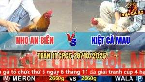 Trận 11 CPC5 28/10/2025 - Anh Nho An Biên Và Anh Kiệt Cà Mau