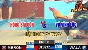 Trận 11 CPC6 12/10/2025 - Điều Chân Xanh Anh Vũ Đá Bo Như Xe Đụng