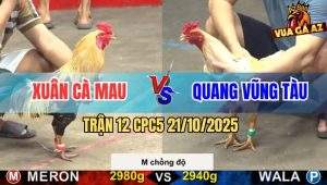 Trận 12 CPC5 21/10/2025 - Anh Xuân Cà Mau Và Anh Quang Vũng Tàu