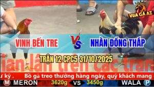 Trận 12 CPC5 31/10/2025 - Anh Vinh Bến Tre Và Anh Nhàn Đồng Tháp
