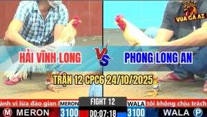 Trận 12 CPC6 24/10/2025 - Úa Gặp Bướm Đá Vài Chân Hết Múa