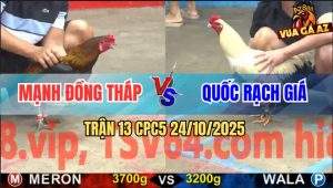 Trận 13 CPC5 24/10/2025 - Anh Mạnh Đồng Tháp Và Anh Quốc Rạch Giá
