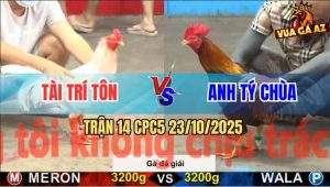 Trận 14 CPC5 23/10/2025 - Anh Tài Trí Tôn Gặp Anh Tý Chùa