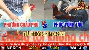 Trận 14 CPC5 31/10/2025 - Anh Phương Châu Phú Và Anh Phúc Vũng Tàu