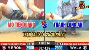 Trận 14 CPC6 25/10/2025 - Úa Tải Cựa Quá Tốt Xám Bể Mình Bung Chạy