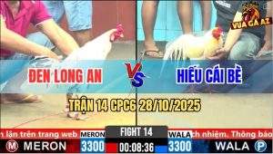 Trận 14 CPC6 28/10/2025 - Úa Kẹp Vô Là Cựa Bướm Sống Không Nổi