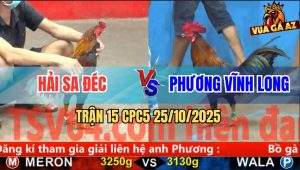 Trận 15 CPC5 25/10/2025 - Anh Hải Sa Đéc Và Anh Phương Vĩnh Long