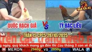 Trận 15 CPC5 28/10/2025 - Anh Quốc Rạch Giá Và Anh Tý Bạc Liêu