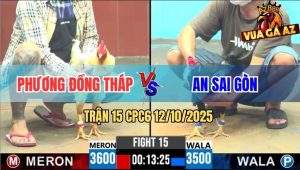 Trận 15 CPC6 12/10/2025 - Gà Úa Anh Phương Đâm Điều Không Kịp Tha Lơ