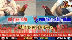 Trận 16 CPC5 27/10/2025 - Anh Trí Tịnh Biên Và Anh Phương Châu Thành
