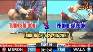 Trận 16 CPC6 24/10/2025 - Điều Đỏ Chưa Thả Đá Còn Ăn 5 Và Cái Kết