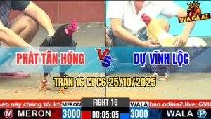 Trận 16 CPC6 25/10/2025 - Điều Mật Anh Phát Cặp Vô Đá Như Xe Đụng