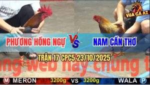 Trận 17 CPC5 23/10/2025 - Xám Đá Quá Đâm Điều Bung Chạy Thoát Thân