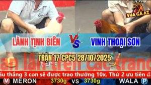 Trận 17 CPC5 28/10/2025 - Anh Lành Tịnh Biên Và Anh Vinh Thoại Sơn