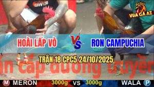 Trận 18 CPC5 24/10/2025 - Anh Hoài Lấp Vò Và Anh Ron Campuchia