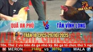 Trận 18 CPC5 29/10/2025 - Anh Quá An Phú Và Anh Tân Vĩnh Long