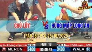 Trận 18 CPC6 25/10/2025 - Điều Vàng Buôn Đuôi Lùa Tay Nước Đỏ Tắt Đèn