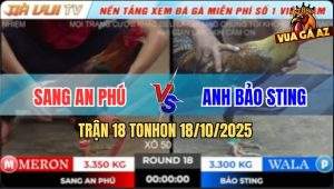 Trận 18 TonHon 18/10/2025 - Anh Bảo Sting Gom Bồ Sau 9 Lần Thất Bại