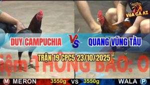 Trận 19 CPC5 23/10/2025 - Điều Cọp Anh Quang Siết Gà Que Liệt Tứ Chi