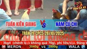 Trận 19 CPC5 28/10/2025 - Anh Tuấn Kiên Giang Và Anh Nam Củ Chi