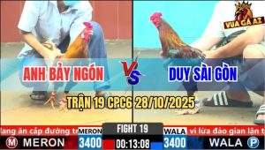 Trận 19 CPC6 28/10/2025 - Gà Khét Anh Bảy Ngón Đâm Điều Lật Xe