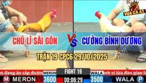 Trận 19 CPC6 29/10/2025 - Gà Bướm Canh Chặn Mấy Cây Khét Đứt Bóng Đèn