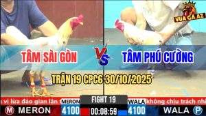 Trận 19 CPC6 30/10/2025 - Xanh Siết Cây Lưng Đỏ Kêu La Thấu Trời