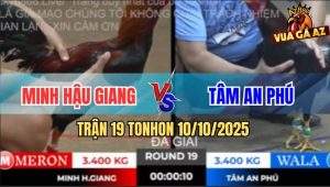 Trận 19 TonHon 10/10/2025 - Anh Minh Hậu Giang Gặp Anh Tâm An Phú