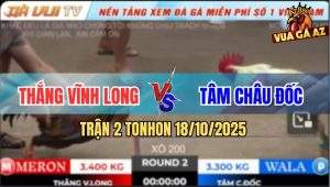 Trận 2 TonHon 18/10/2025 - Tài Nghệ Anh Bảo Sting Cũng Không Cứu Nổi