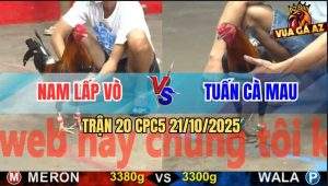 Trận 20 CPC5 21/10/2025 - Anh Nam Lấp Vò Và Anh Tuấn Cà Mau