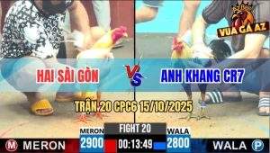 Trận 20 CPC6 15/10/2025 - Chuối Bông Khang Đâm Gà Úa Tơi Bời Hoa Lá