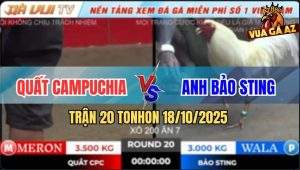 Trận 20 TonHon 18/10/2025 - Gà Úa Bảo Sting Chấp Nữa Ký Đá Điều Bỏ Chạy
