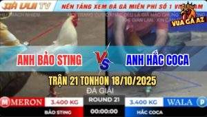 Trận 21 TonHon 18/10/2025 - Anh Bảo Sting Gặp Anh Hắc CoCa