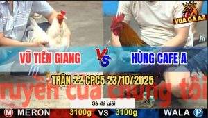 Trận 22 CPC5 23/10/2025 - Anh Vũ Tiền Giang Gặp Anh Hùng Cafe A