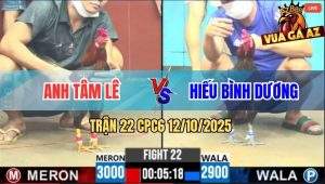 Trận 22 CPC6 12/10/2025 - Điều Xanh Đá Điều Đỏ Không Kịp Thở OXY