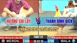 Trận 22 CPC6 20/10/2025 - Úa Chặn Đúng 1 Chân Bướm Ói Tiền