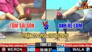 Trận 22 CPC6 27/10/2025 - Điều Mồng Trà Đá Xanh Kêu Miệng Nhớ Nhà